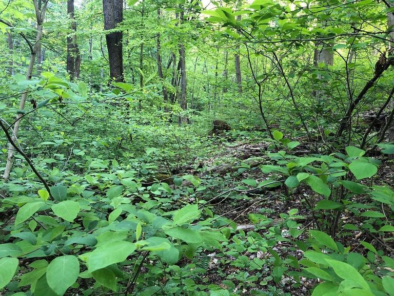 1a1e8d64-dc2c-489a-8900-60c040a9405b 1 105 c