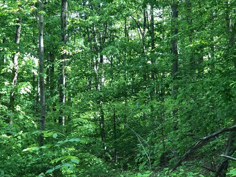 1ebdecbe-b6cb-47fc-a775-1eb3549327ef 1 105 c