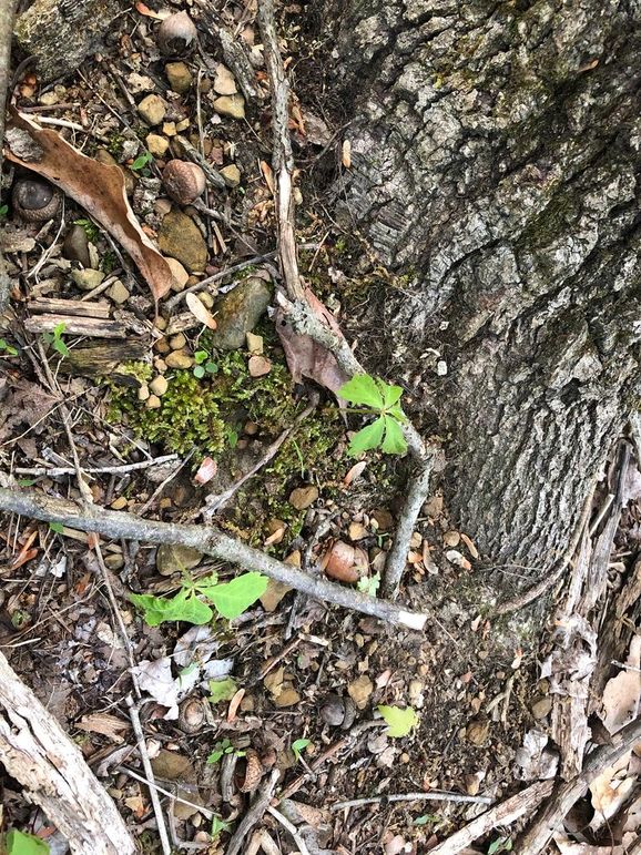 27425010-ff4e-40d4-a68d-8e6c47c6ff8b 1 105 c