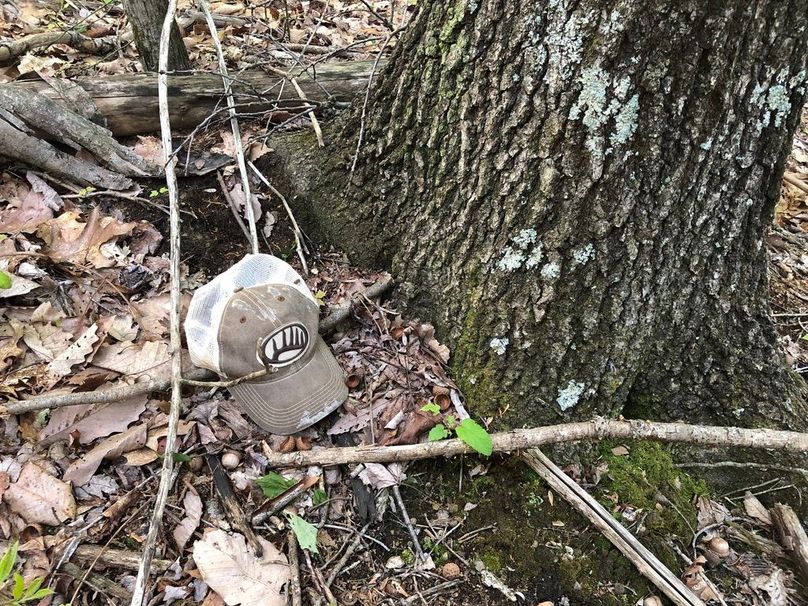 2846b740-8779-4a0a-8b5a-b234e0f6b3b8 1 105 c