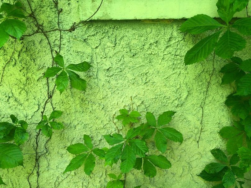 2979ac58-9edb-41a1-925b-23e13800c08b 1 105 c