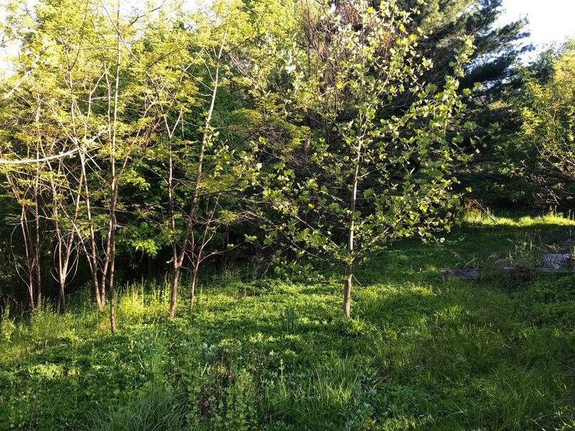 2f35cc45-164f-4ebc-8f6f-8bfa7051ab5e 1 105 c