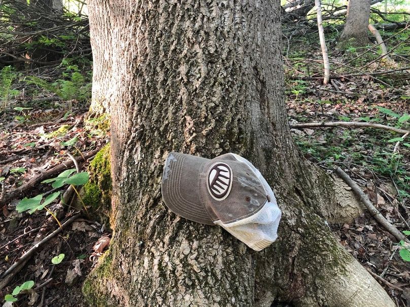 301d3ab0-7777-484c-b71a-a118f955263c 1 105 c