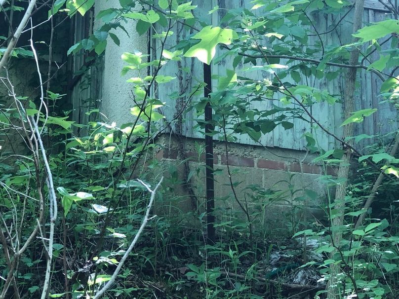 3ad00645-7042-4999-aa41-1bcc8dd4ee11 1 105 c