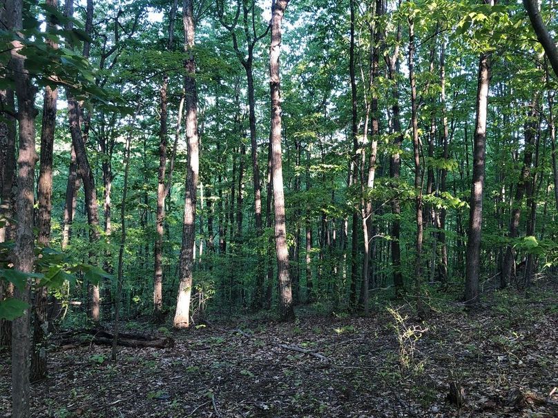 3d64939e-a12d-427d-ae08-b357f683f245 1 105 c