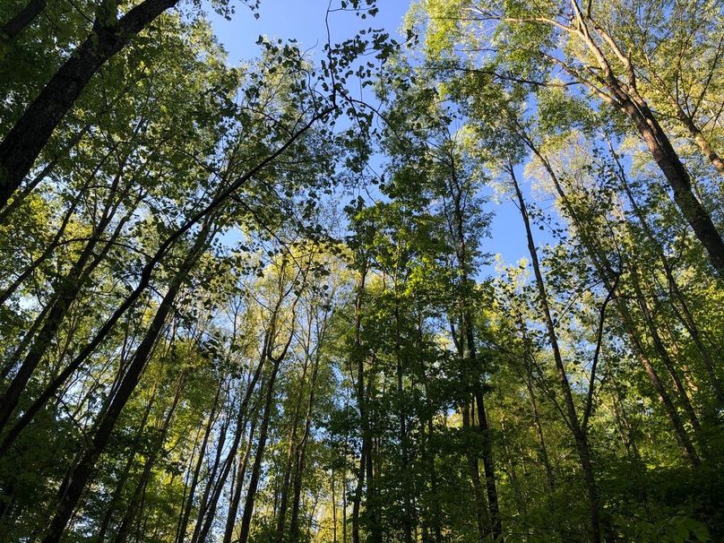 49dd0c4d-f368-416a-829f-748ae5b9e57b 1 105 c