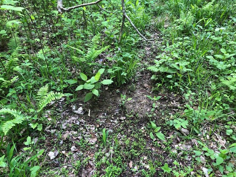 4280d1cd-e21c-4d63-ad83-d87d5f6754de 1 105 c