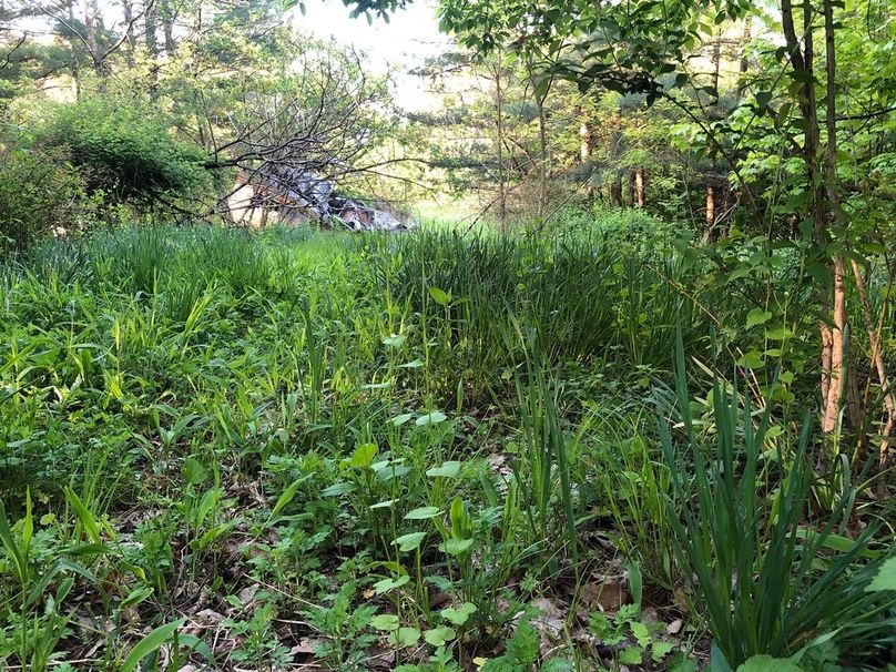 4c55ee02-8131-46a4-a31c-4417433e76e5 1 105 c