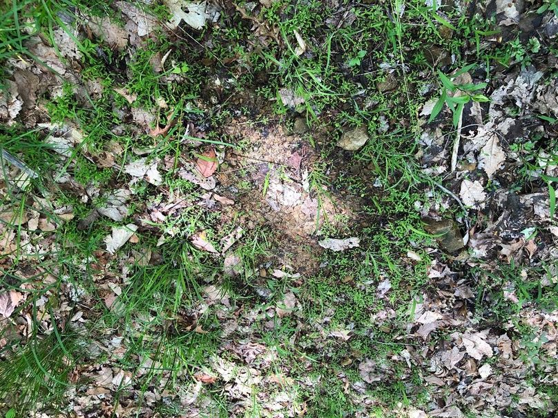 56b763bb-1d3b-4abc-9d46-98ac3139a02b 1 105 c