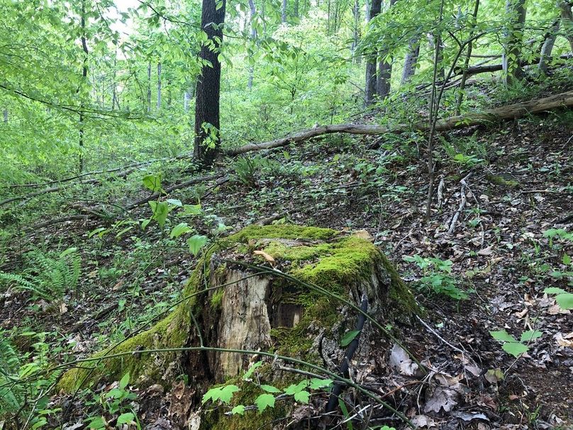 69b6338e-8cf0-4590-93c0-111dcff6f086 1 105 c