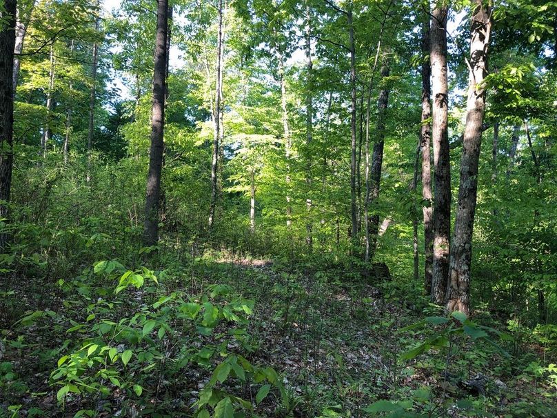 751fe4b5-b5d5-4c96-9f66-280139390f62 1 105 c