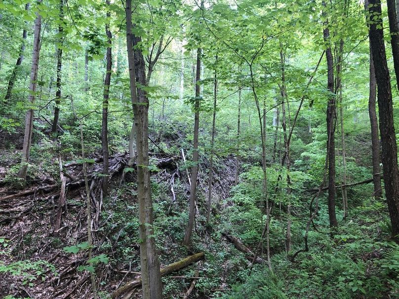 700f8eea-2196-4305-a654-4d076cf9e0d8 1 105 c