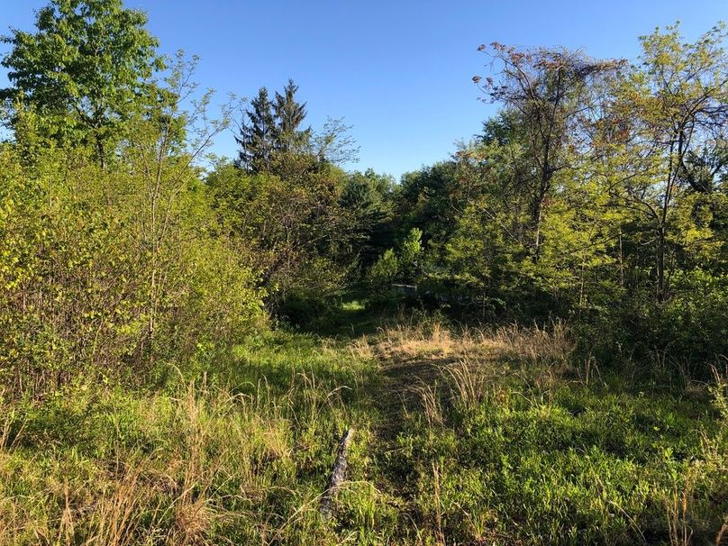 734b3e6b-2ad1-4dae-9cfc-f18c958917fc 1 105 c