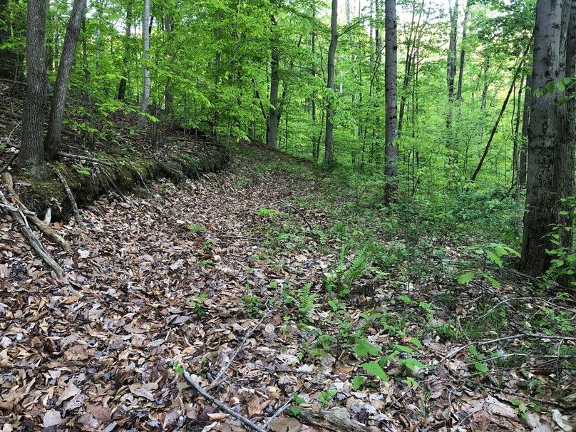 7d8e6a1c-06f6-4b63-b0cd-be9b4477e5d3 1 105 c