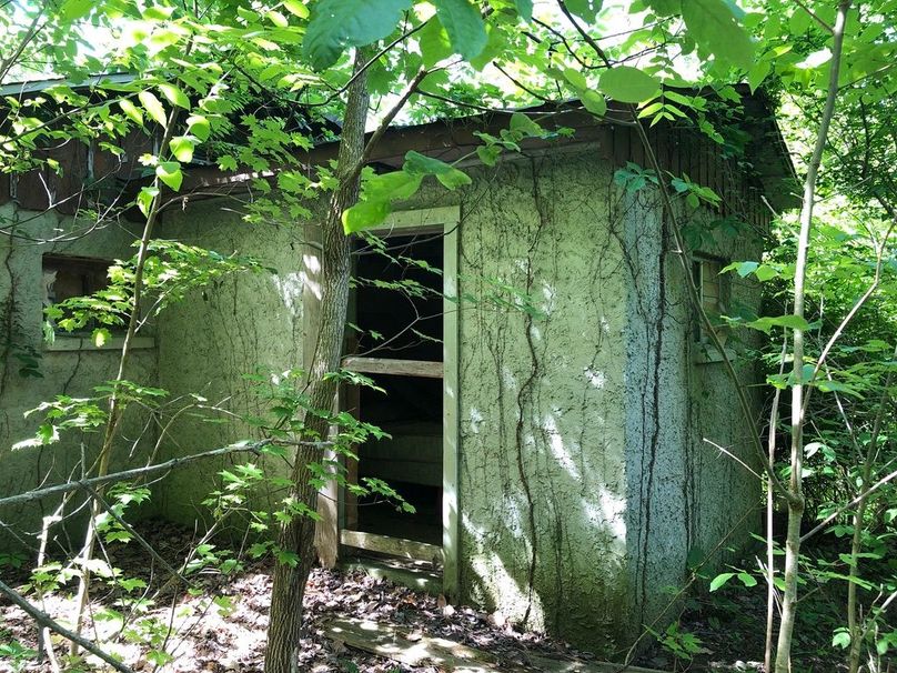 8449cc02-4884-483f-bb64-1a432313a053 1 105 c