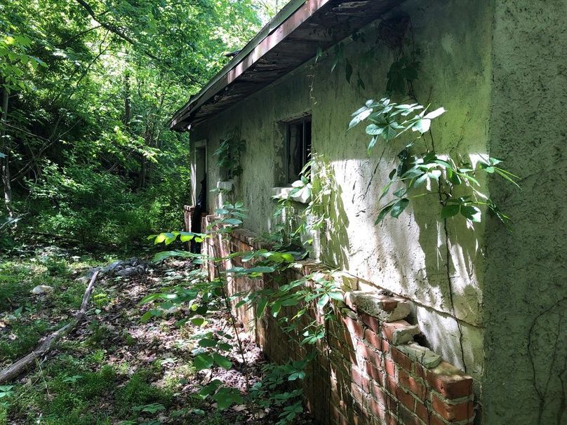 88db3239-1d15-486d-893e-9eb89b6ceca8 1 105 c