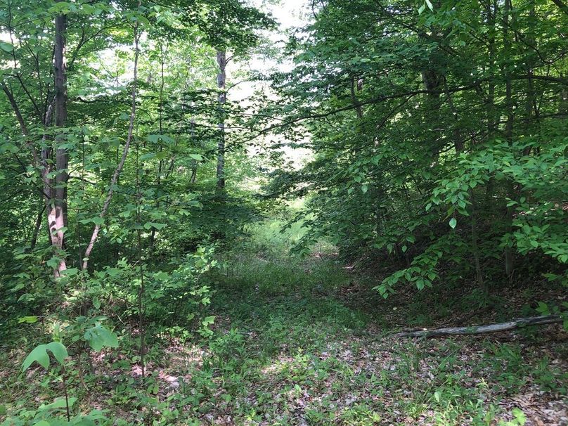 80570531-3b31-430d-9698-ab7ebe1d9f5f 1 105 c