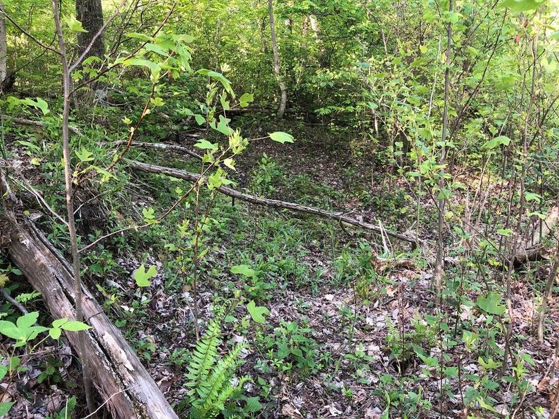 80adbe2c-2251-4fca-b784-0b991161675c 1 105 c