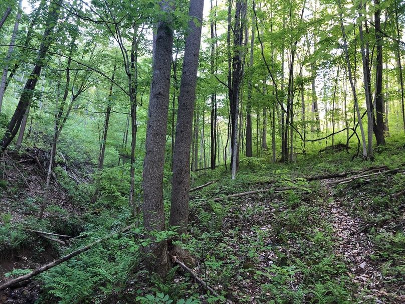 80d873e0-eeee-477d-84e1-a6b2bf456e9f 1 105 c