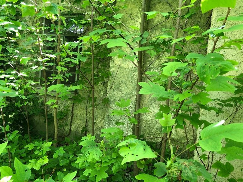 815aff9a-3ca9-4965-82eb-1b9c237451b8 1 105 c