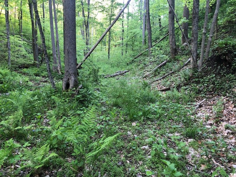 8fd56026-e140-4045-bcd8-ff97d17151d4 1 105 c