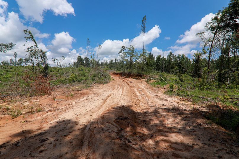 Lauderdale80 (3 of 13)