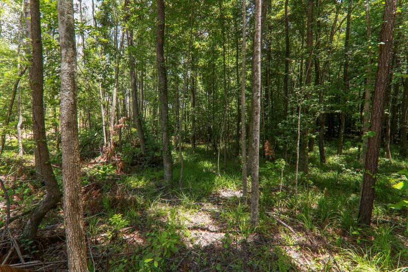 Lauderdale80 (10 of 13)