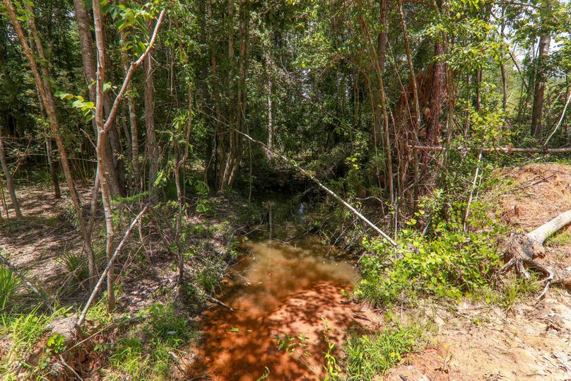 Lauderdale80 (11 of 13)