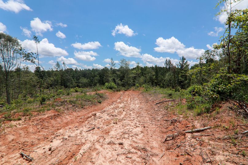 Lauderdale80 (12 of 13)