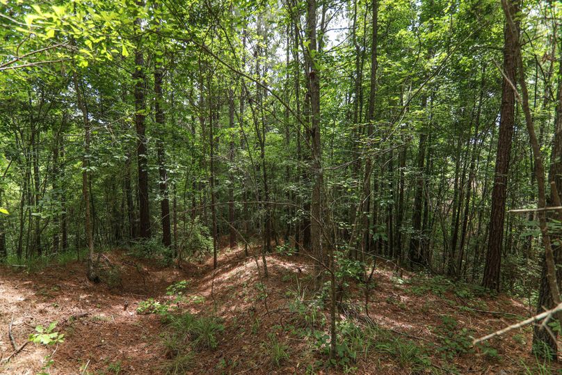 Lauderdale80 (13 of 13)