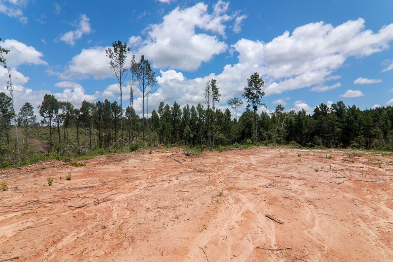 Lauderdale80 (1 of 13)