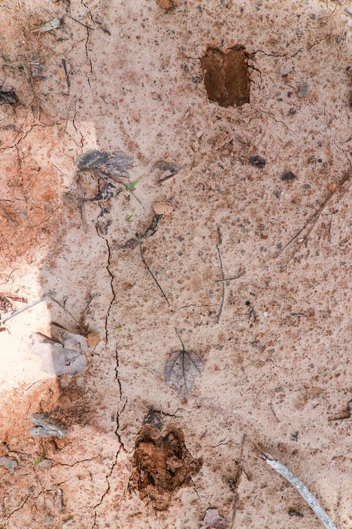 Lauderdale80 (2 of 13)