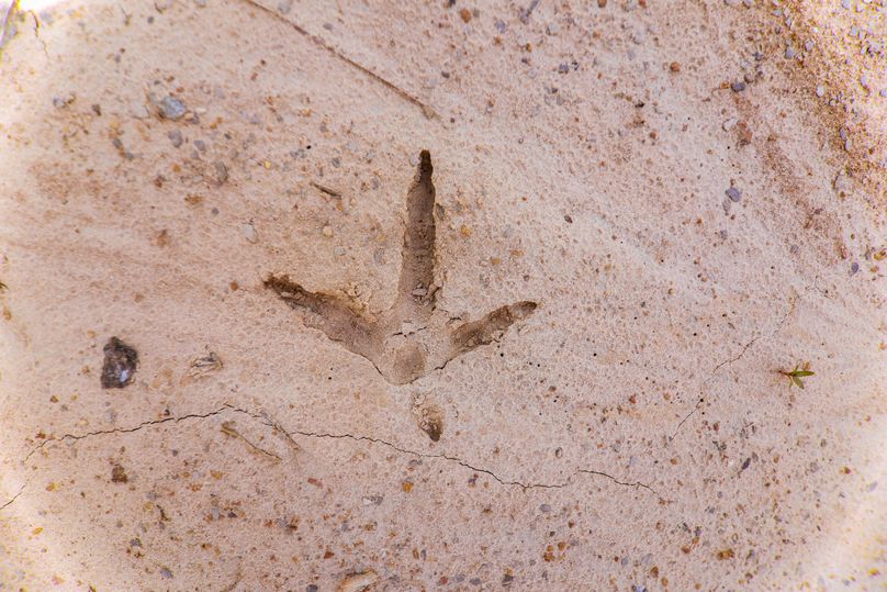 Lauderdale80 (7 of 13)