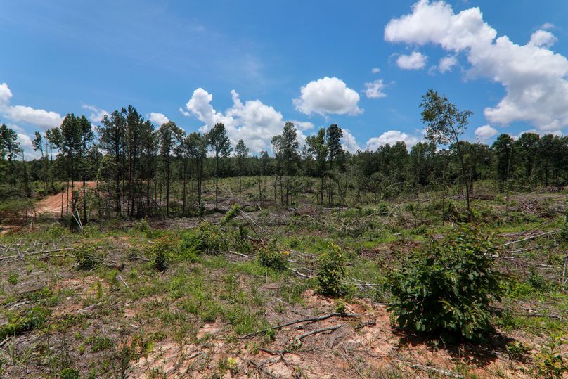 Lauderdale80 (4 of 13)