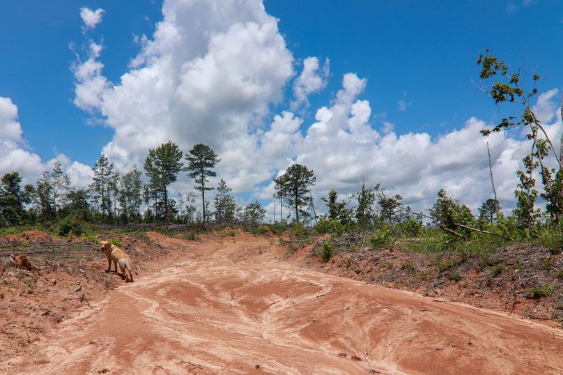 Lauderdale80 (5 of 13)