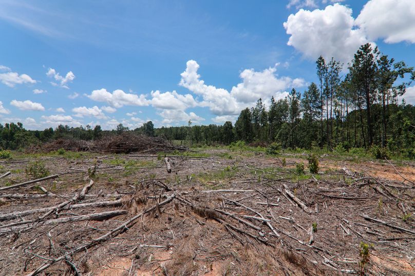 Lauderdale80 (6 of 13)