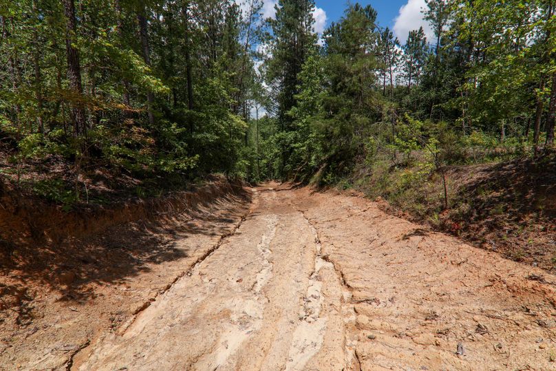 Lauderdale80 (8 of 13)