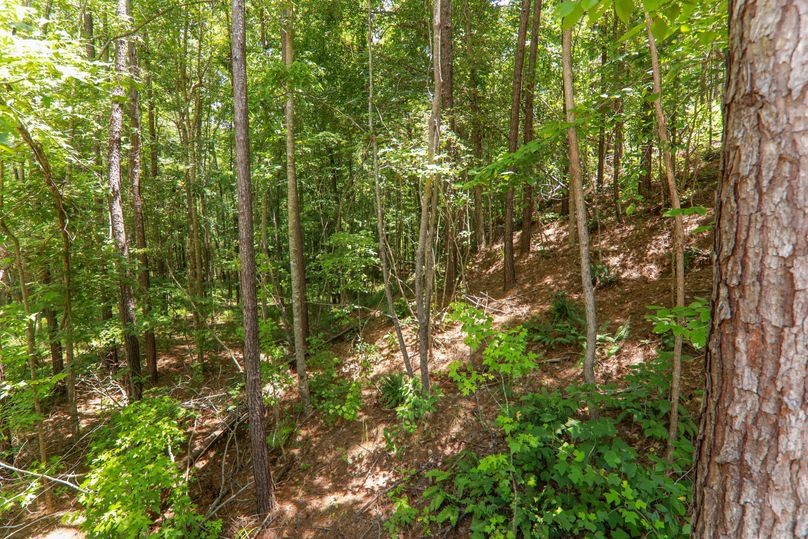 Lauderdale80 (9 of 13)