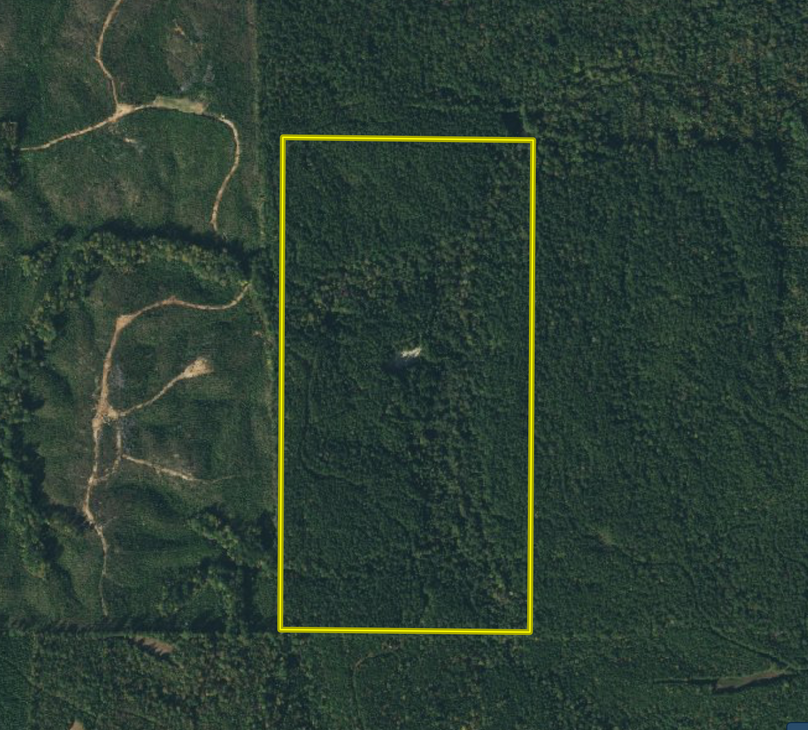 Screen shot 2021-07-01 at 5.40.01 pm