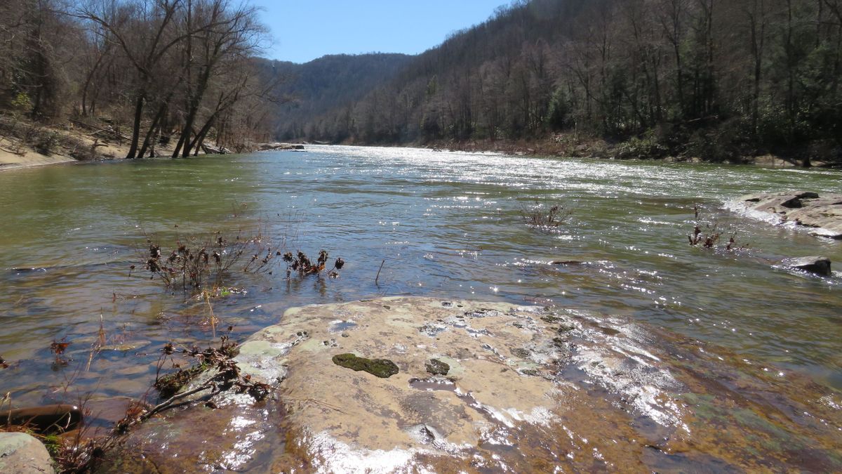 Central WV Land For Sale With Gauley River Frontage Whitetail Properties