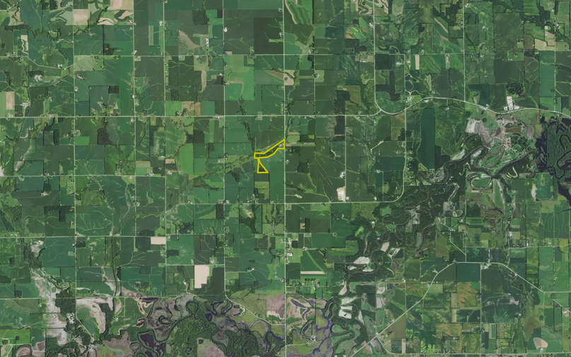 Screen shot 2021-07-01 at 9.08.10 am