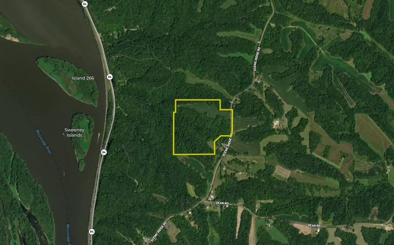 Screen shot 2021-07-08 at 12.28.36 pm