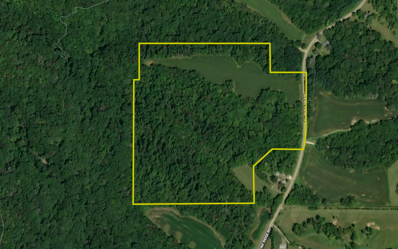 Screen shot 2021-07-08 at 12.46.11 pm