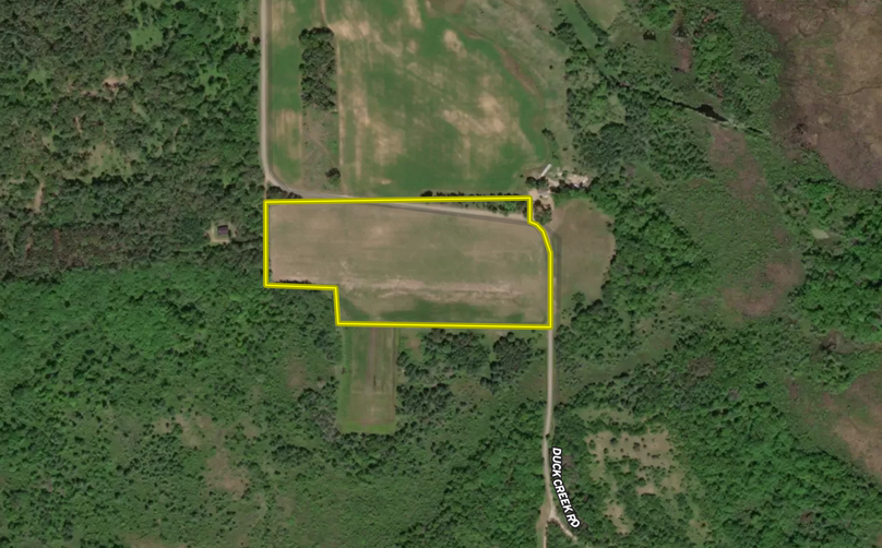 Screen shot 2021-07-08 at 8.25.05 pm