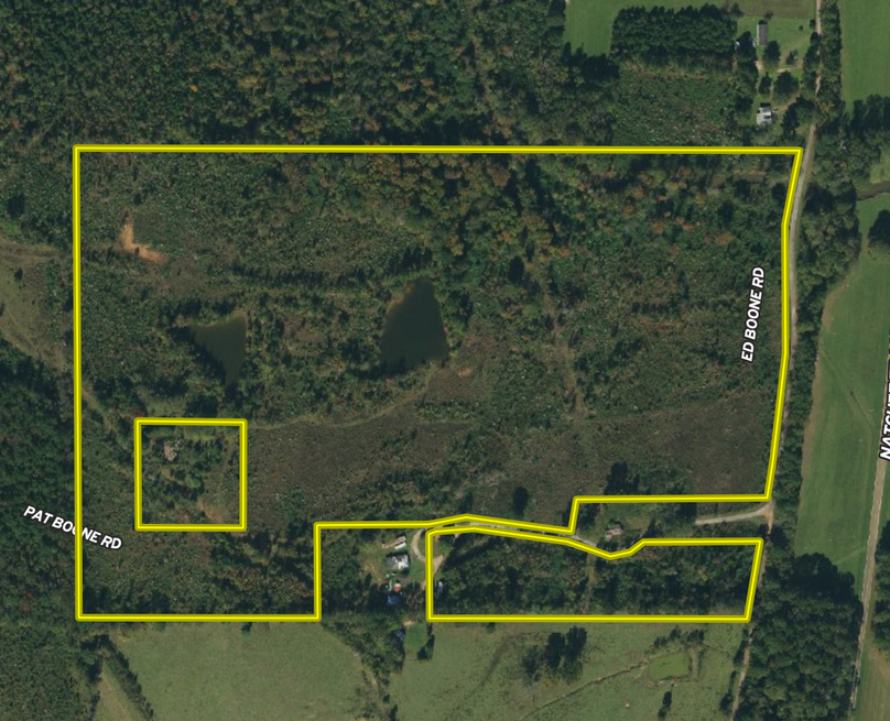 Screen shot 2021-07-06 at 12.19.47 pm