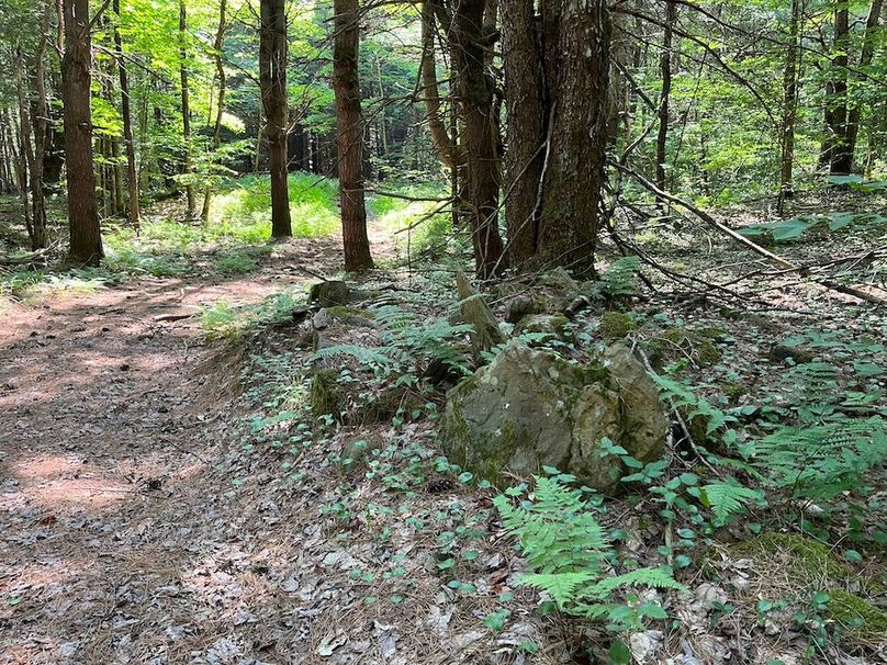 Oswego_24_Frank Photo 14