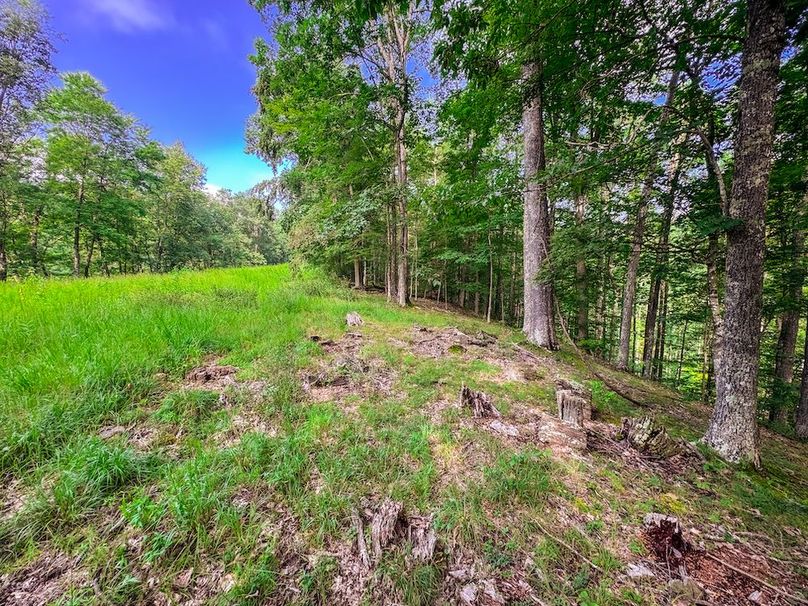 Lewis, WV 105 AC Miller-60