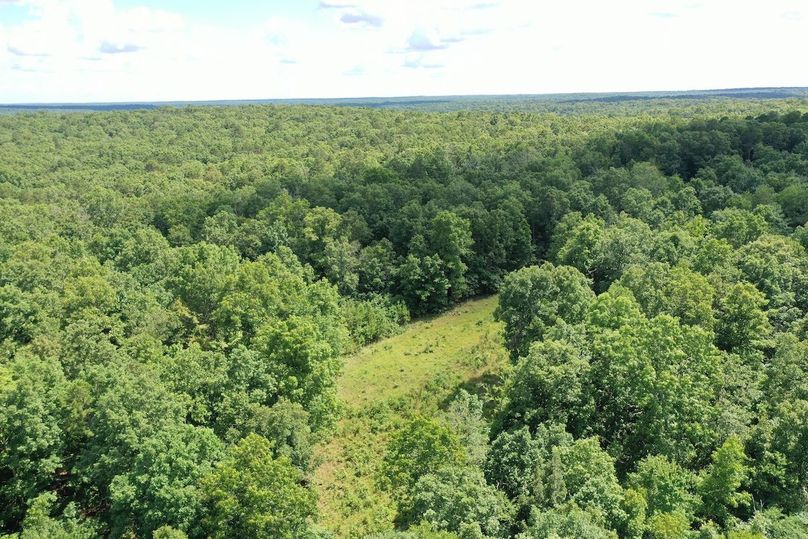 DJI_0991