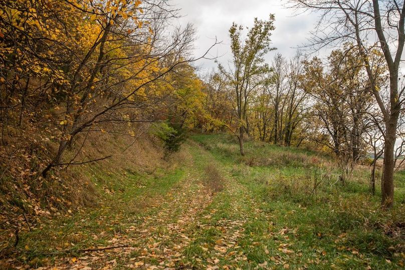 MONONA CO IA 14.95_15