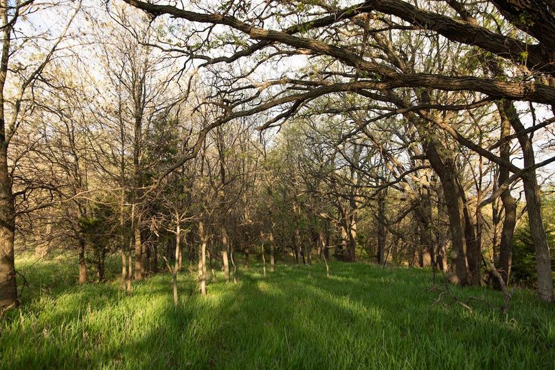 MONTGOMERY CO IA. 156.78_62